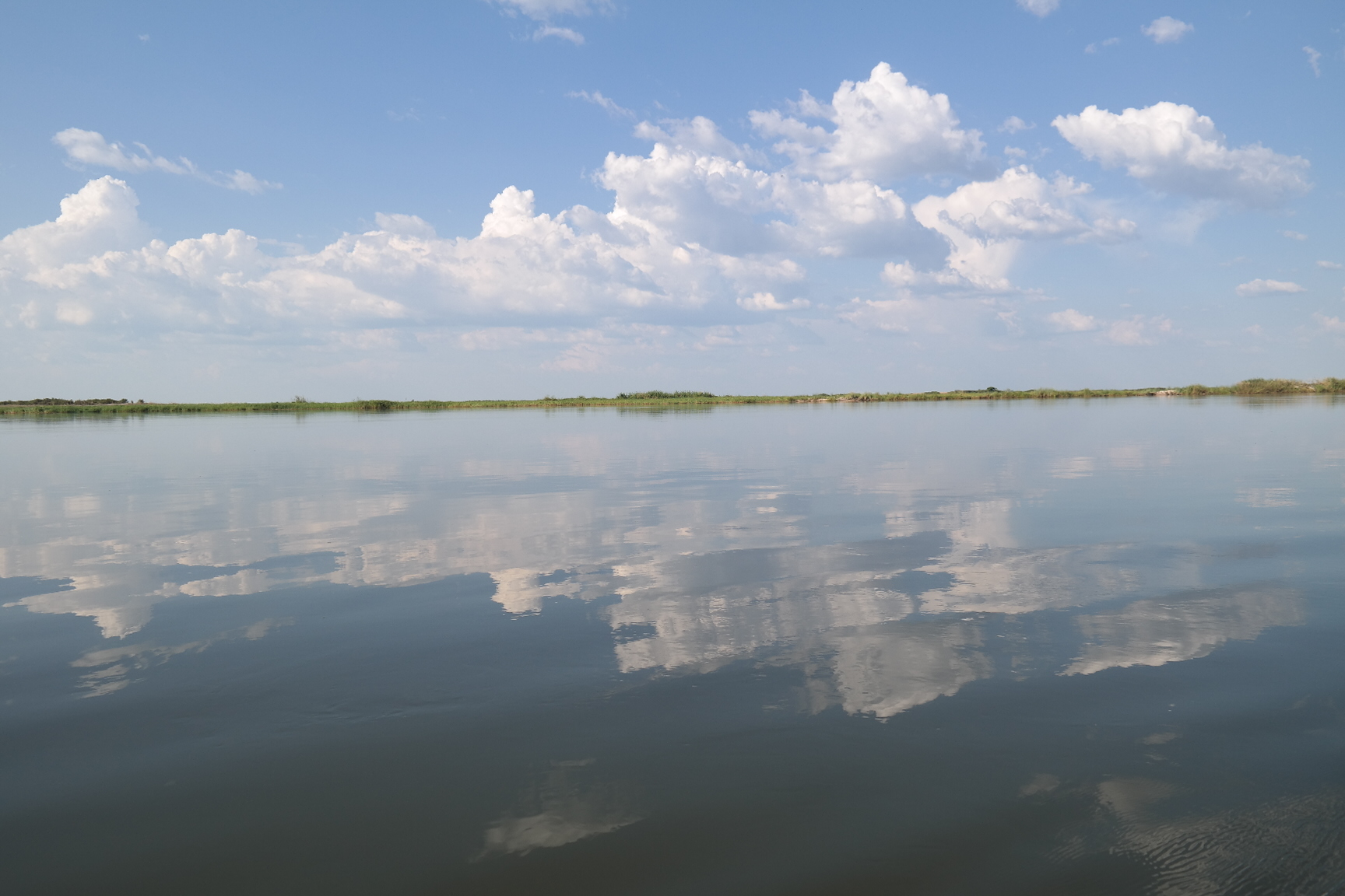 Zambezi