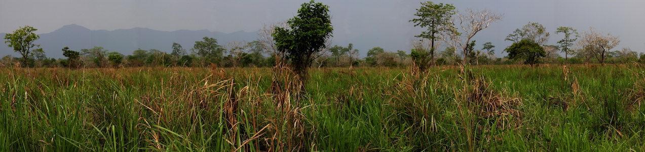 A view of Manas.