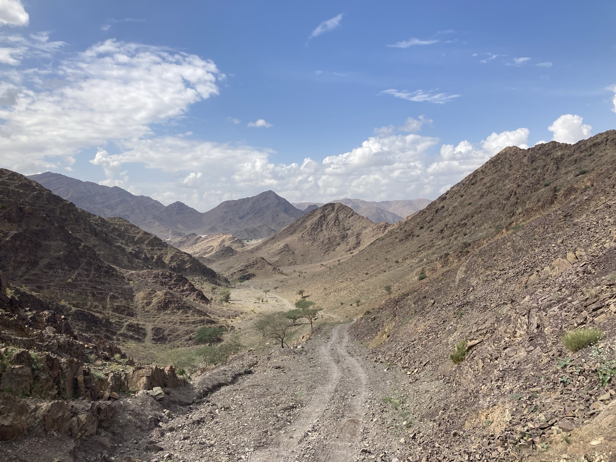 Desert road