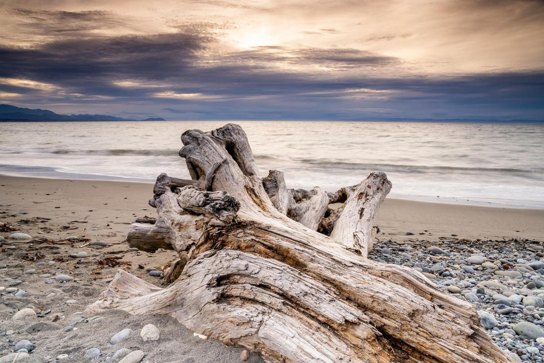 Salish Sea