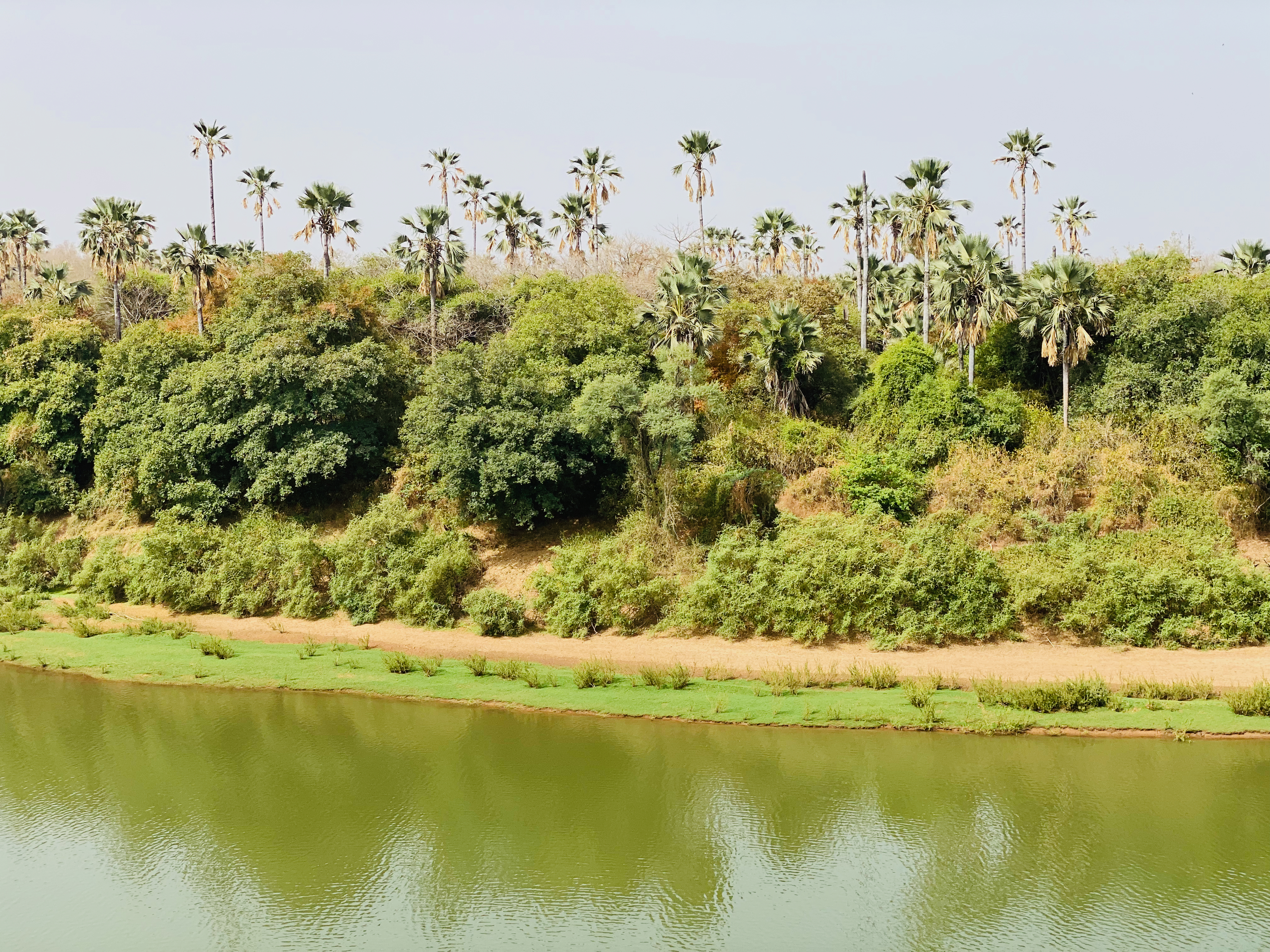 Riverbank