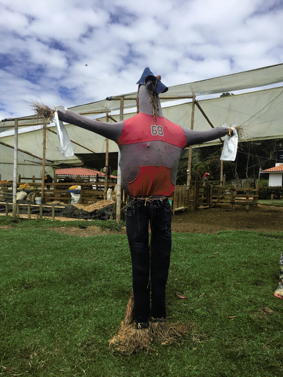 Scarecrow