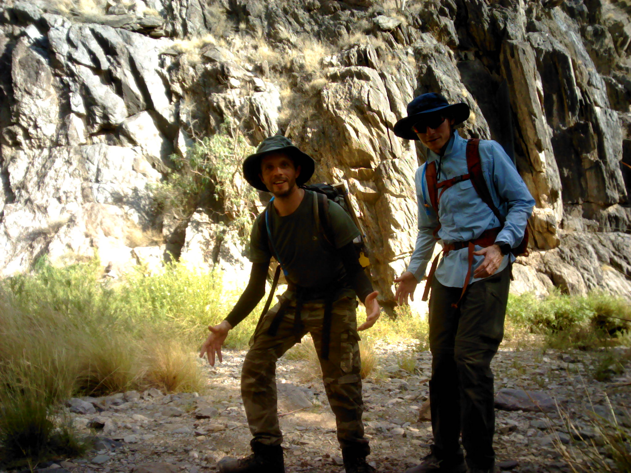 Fieldwork