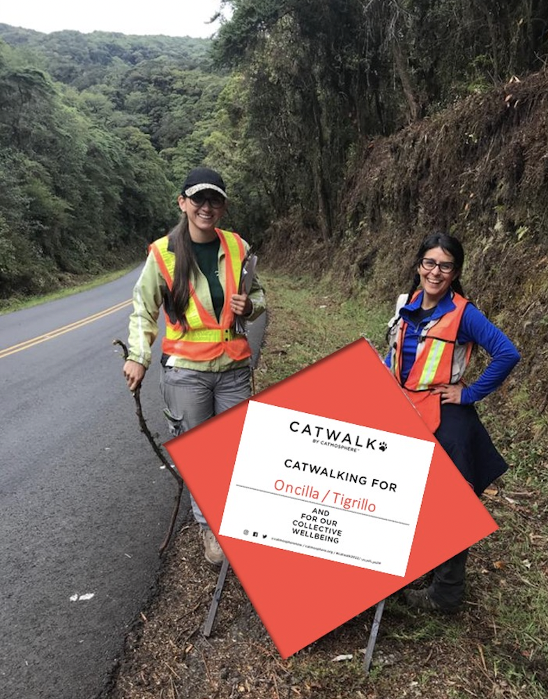 Staff with signs