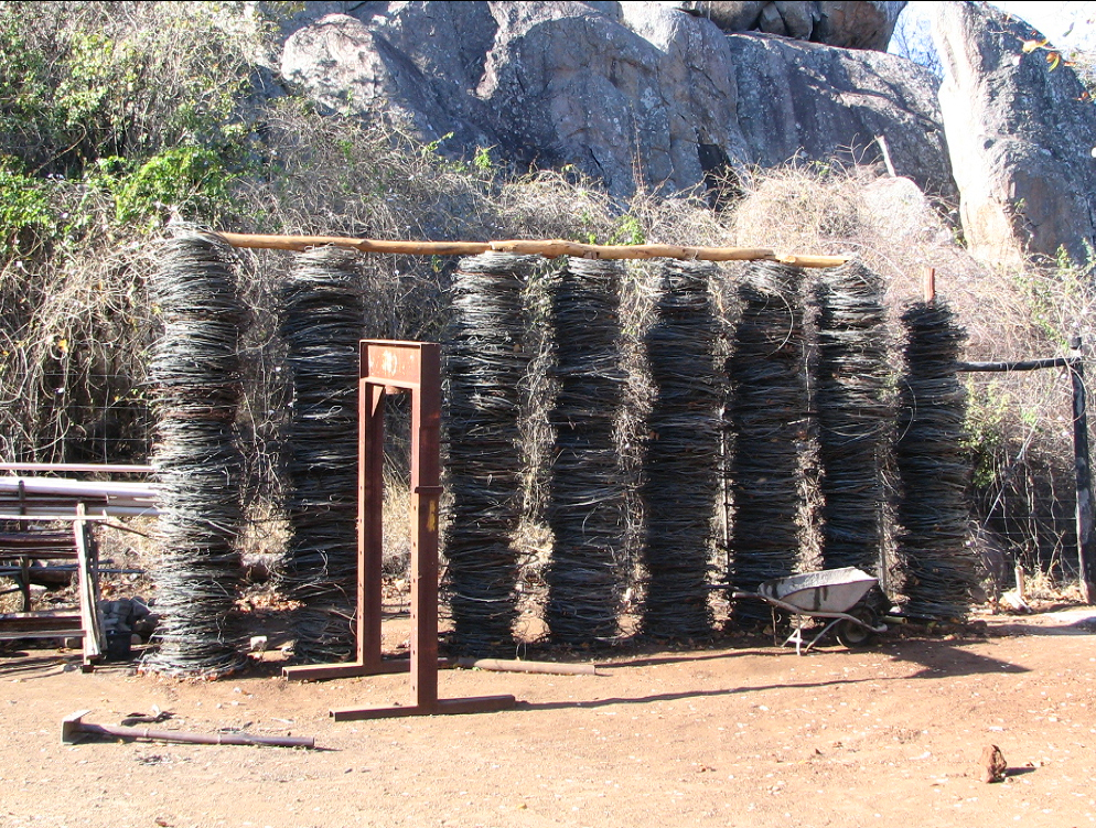 Snare wire