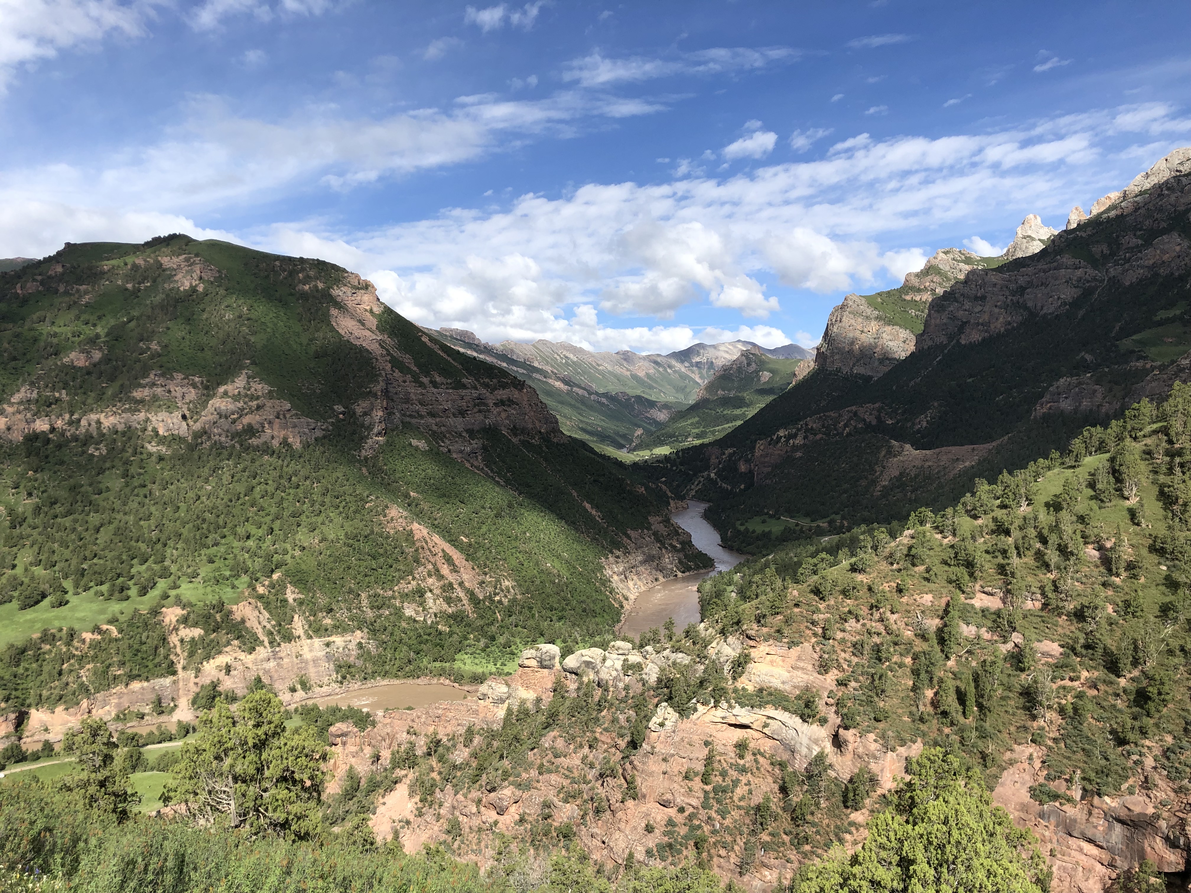 Valley of the Cats