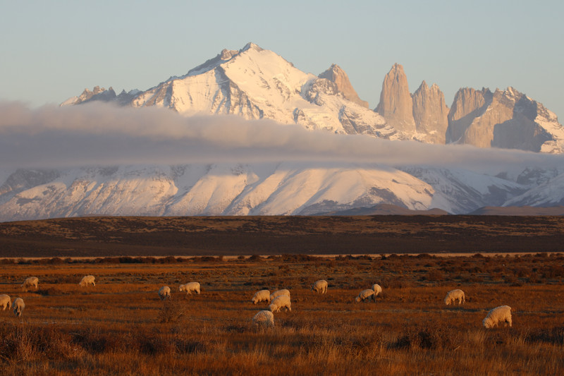 Sheep mountain
