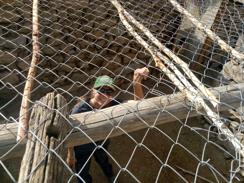Chain link fence