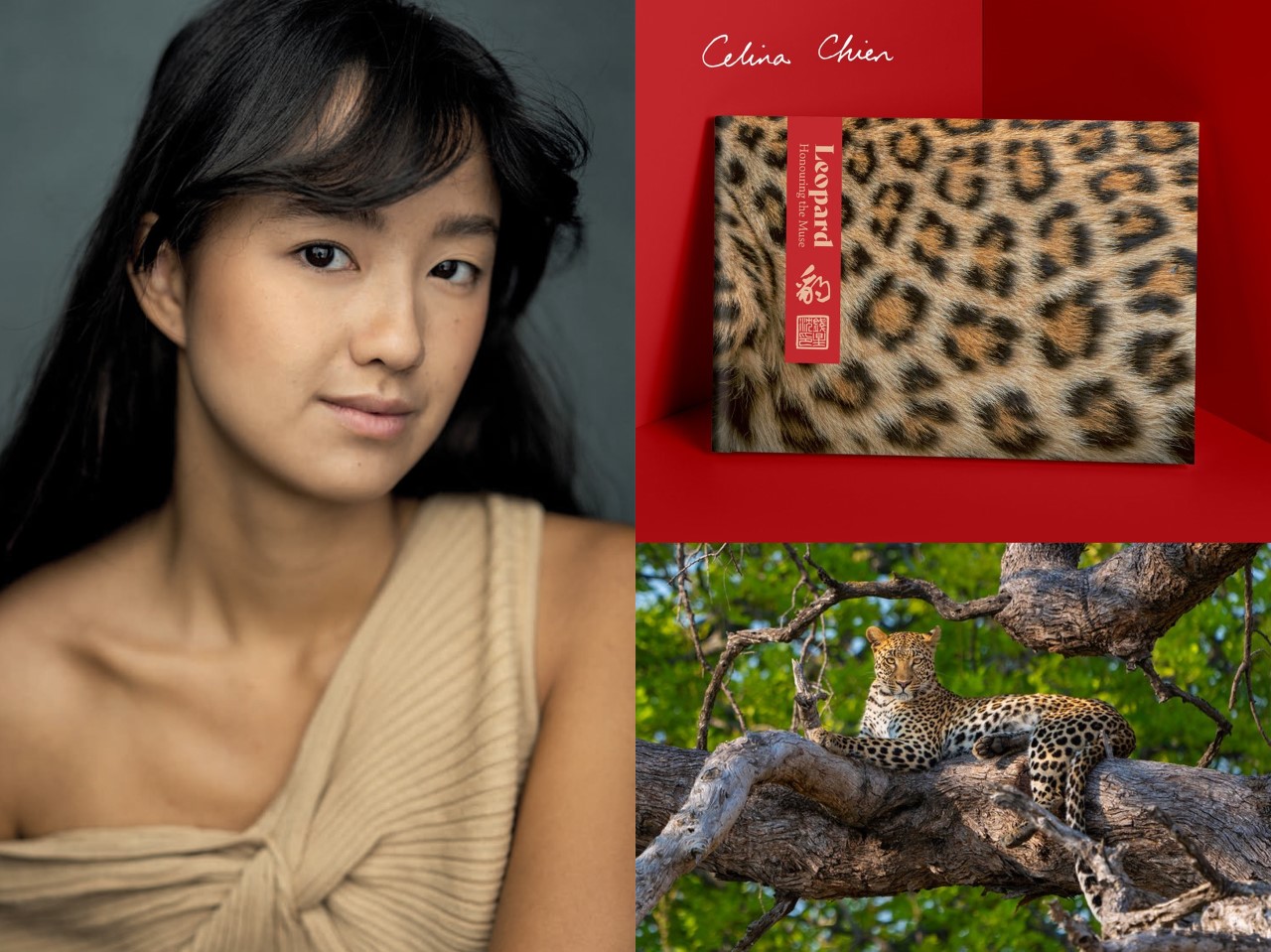 celina chien