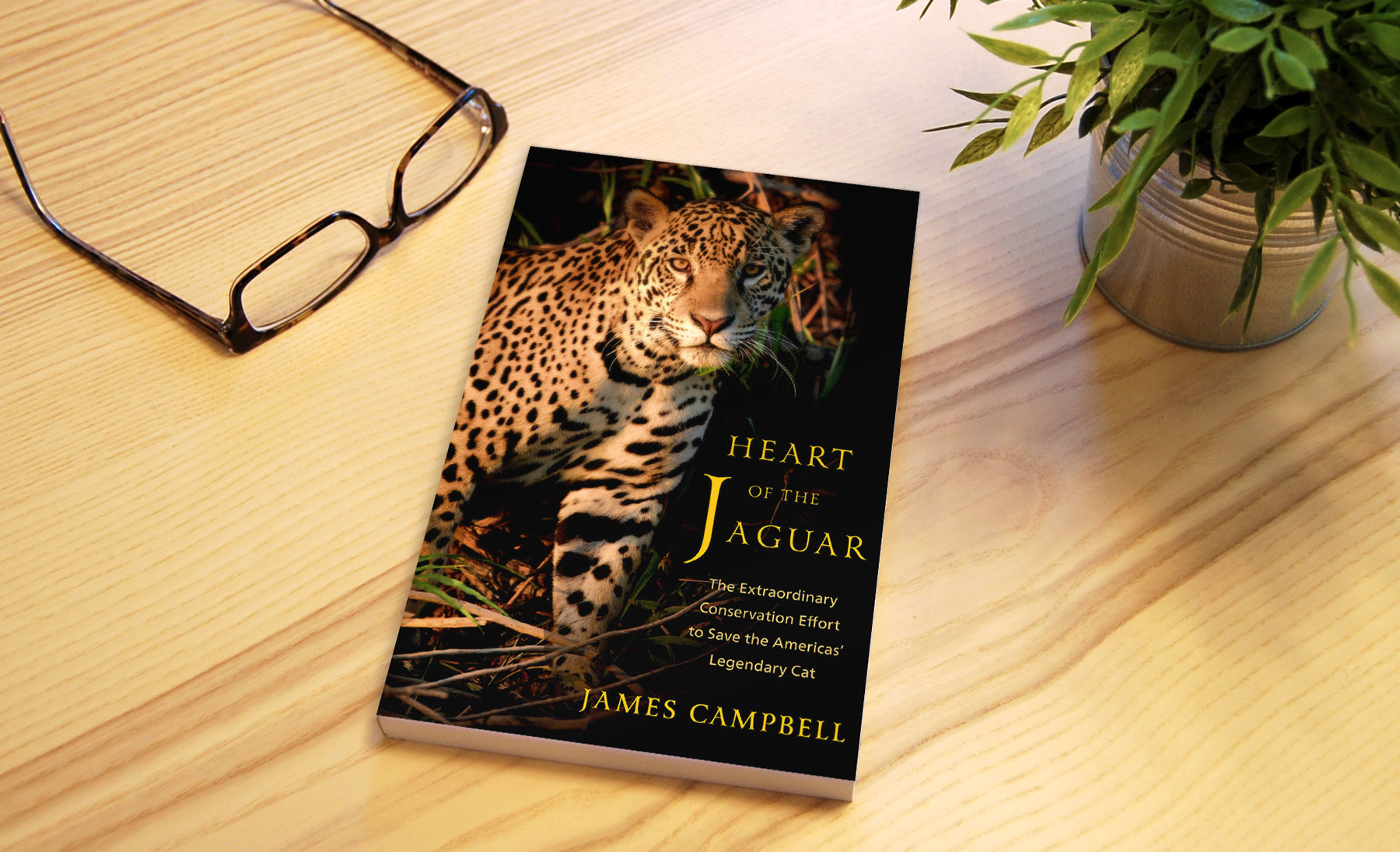 Heart of a Jaguar book on a table