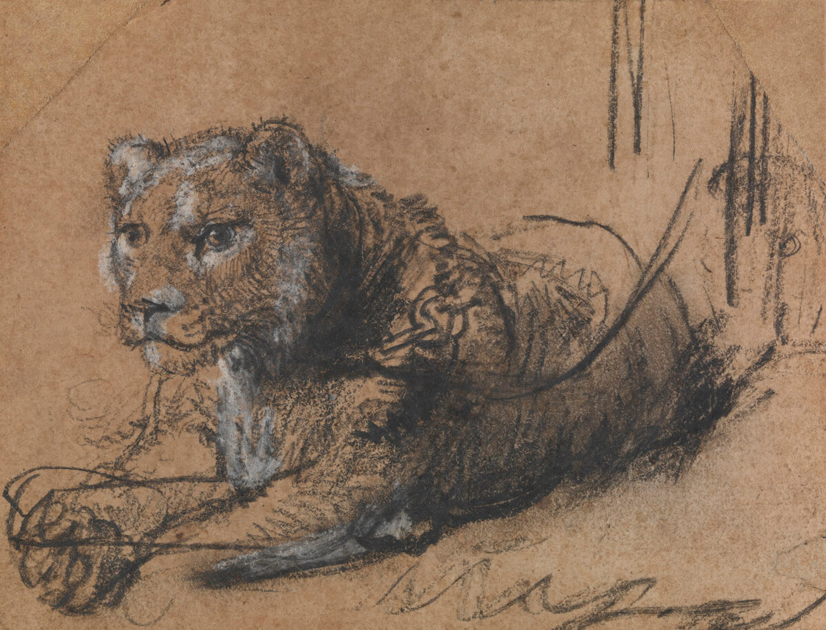 THE LEIDEN COLLECTION