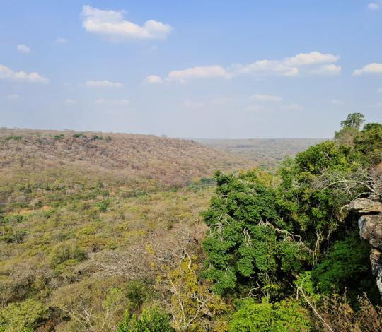 Luganzo Valley
