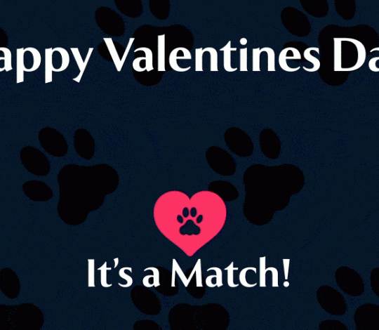 It's a Match!